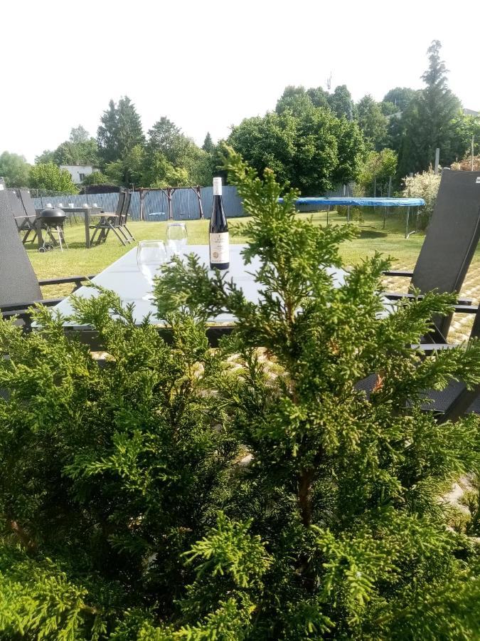 Apartmany Kohoutek A Slepicka V Novohradskych Horach Nové Hrady Exterior foto