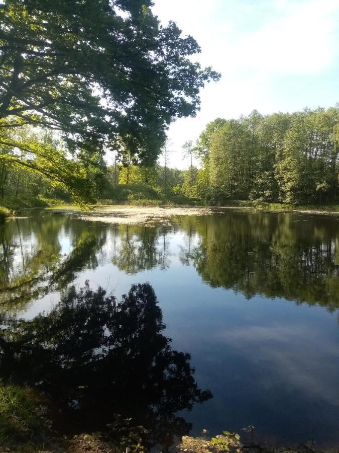 Apartmany Kohoutek A Slepicka V Novohradskych Horach Nové Hrady Exterior foto